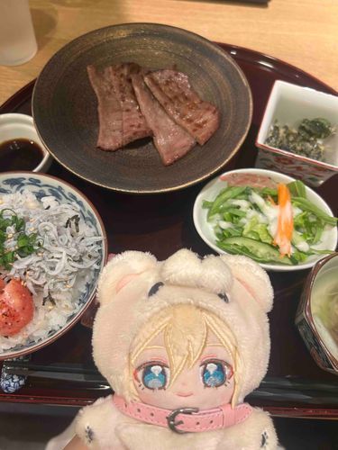 柔らかいお肉をいただいたよ♪