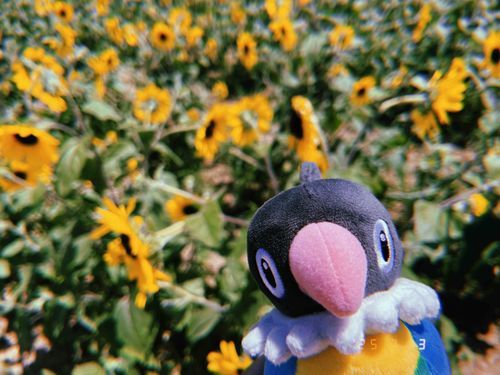 夏だね