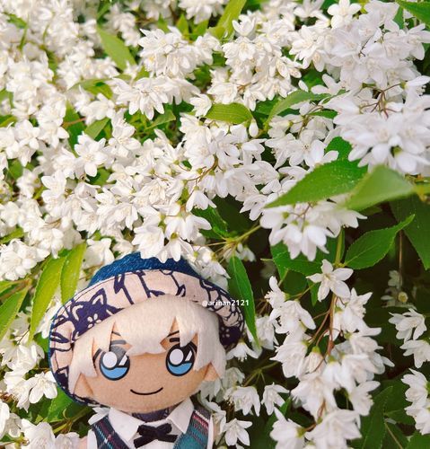 おはなに うもれそうです🌸