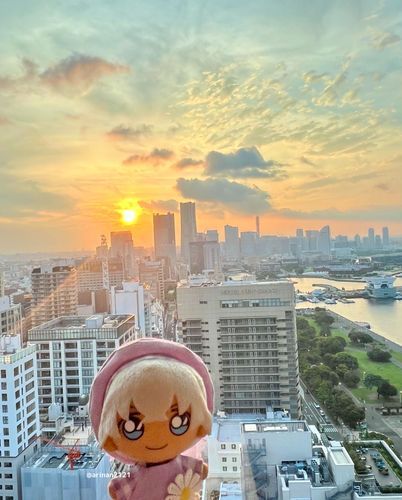 よこはまの ゆうひです🌸
