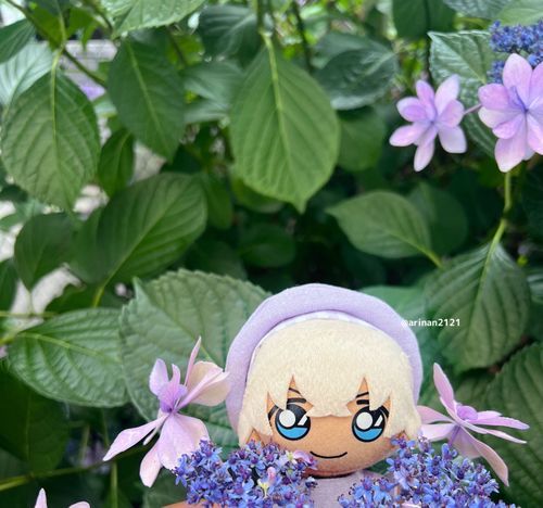 えへへ🌸