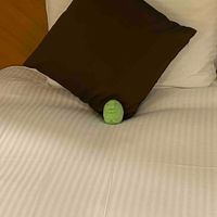 くちぱ