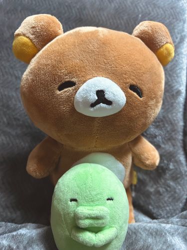 おなじ顔してるリラックマさんいただいた😭✨
かわいすぎる😭✨😭✨