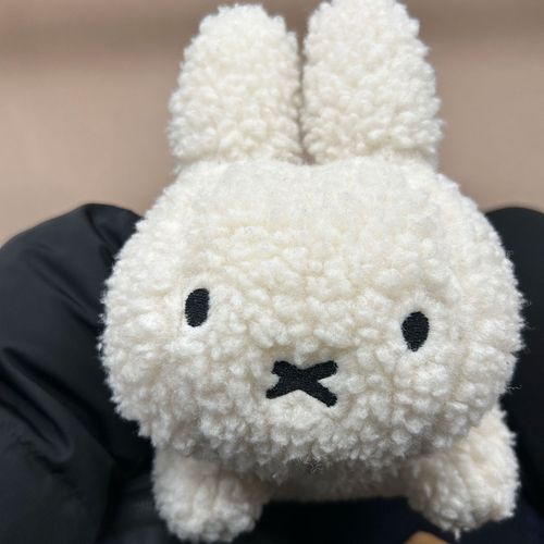 大きくなってしまいました