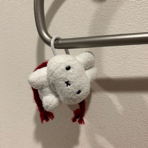 この前洗ってみました。