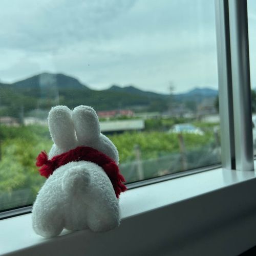 かえるよー