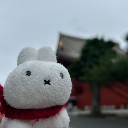 浅草寺の裏面