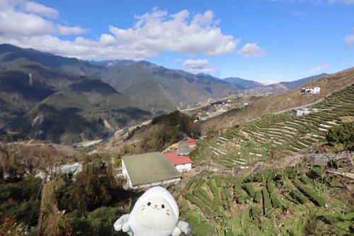 台湾🇹🇼、梨山