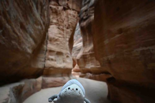 ヨルダン🇯🇴、ペトラ遺跡のシーク