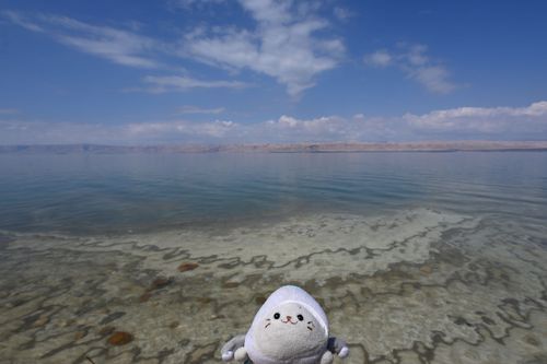 ヨルダン🇯🇴、死海