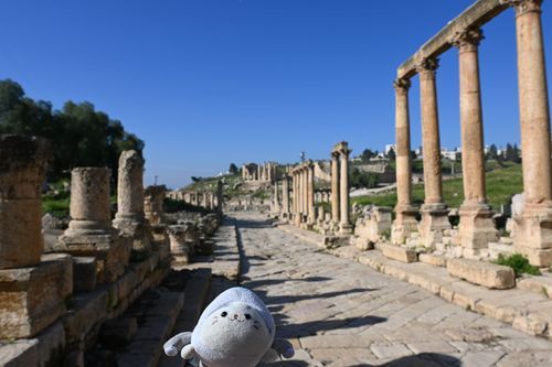 ヨルダン🇯🇴、ジャラシュ遺跡