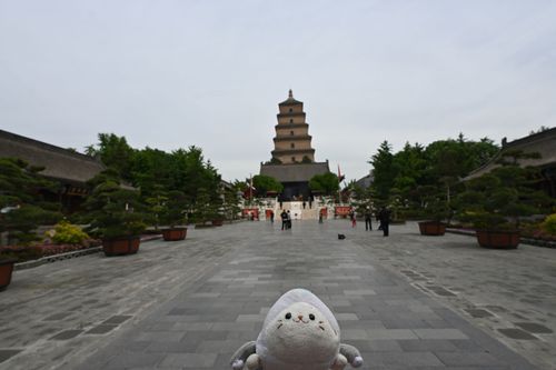 中国🇹🇼、大雁塔