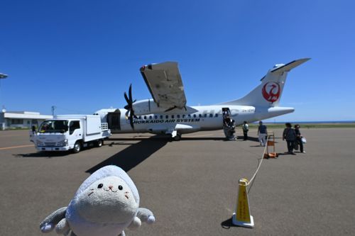 プロペラ機✈️