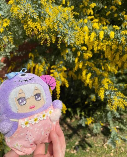 春ですねー