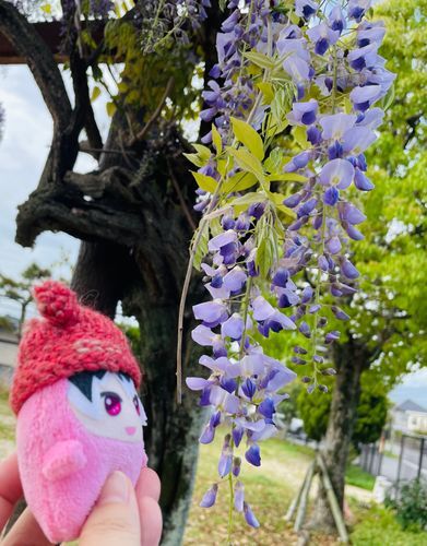 いいにおい･:*+.\(( °ω° ))/.:+