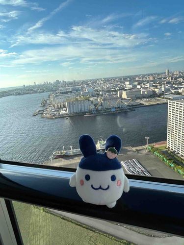 ちばの海ぴょん