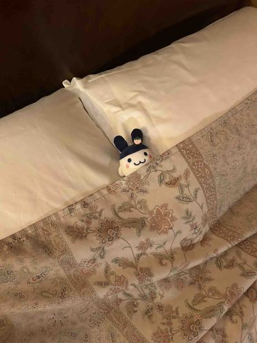 おっきいふとんはみみっちのものぴょん