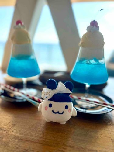 登頂だぴょん