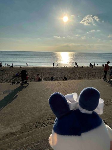 まぶしいぴょん