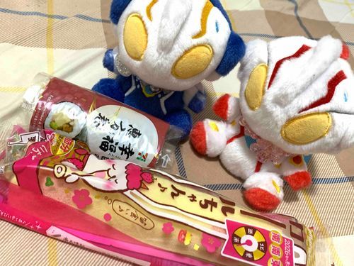 恵方巻きと……これも恵方巻きかな？(ふわめびうす)
家主は巻いていればなんでもいいんだろうな……(ふわひかり)