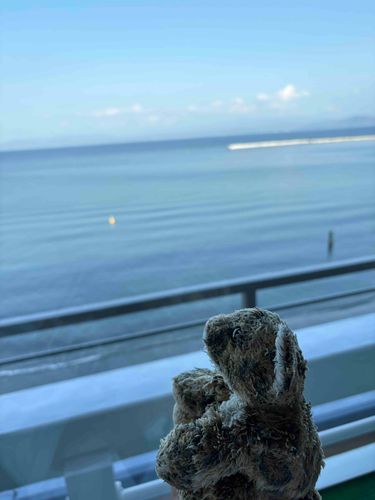 わぁ！海きれいだねー‼︎
