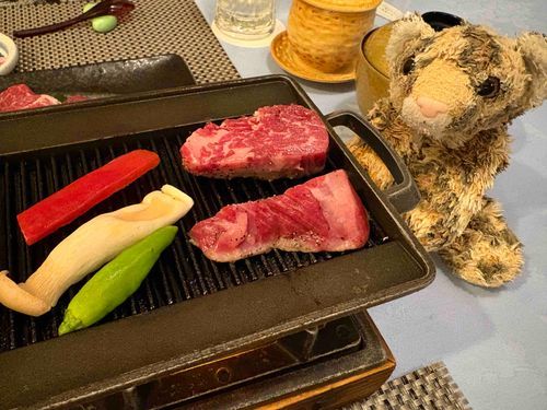 お肉もあるのー？ぼくはお肉がいいなー😍