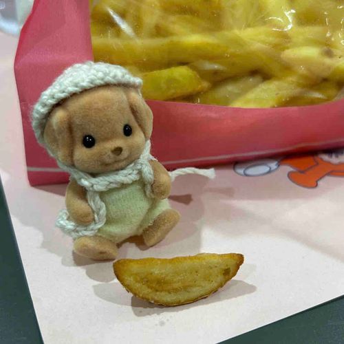 ぼくのサイズのポテトっ🎶🍟

きのうとおとといは持ち主さんの大好きな人にぼくは初めて会いに行ったんだ✨️ 
きらきらしててかっこよかったなぁ.....