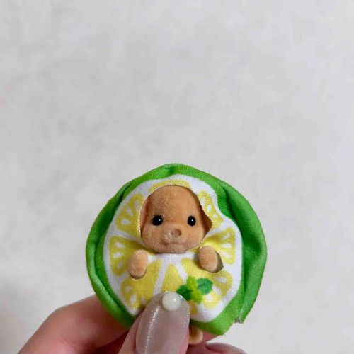 みどりのぼくも、かわいい？🍊💚
最近持ち主さん、僕のおはなじーっと見てくる なんでだろう？