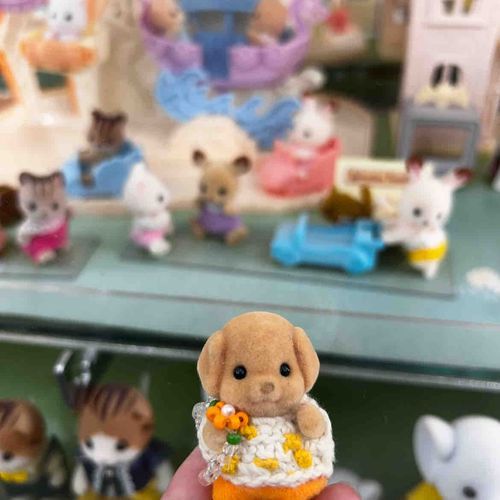 ぼくのおともだち、いっぱいいた🐕
持ち主さん、ぼくにおもちゃ買ってくれたよ！ありがとう！
帰ったら遊ぶんだー🎶

持ち主さん、いつもぼくのおはな心配してるみたいだけど、きっと生え変わってるだけだよ🌟
