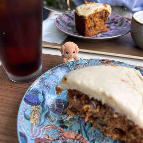 持ち主さん、コーヒーと同じくらいにんじんのケーキがだいすきなんだって🎶🥕
ぼくにもちょうだい！！