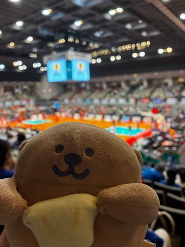 今日もバスケだって〜！