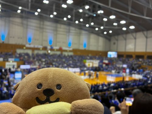 今日もバスケ？