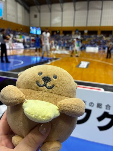 またばすけ？