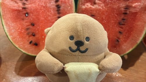 ぽぽちゃんの夏が来た