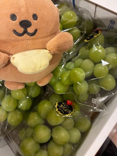 ぽぽちゃんがぜんぶたべます