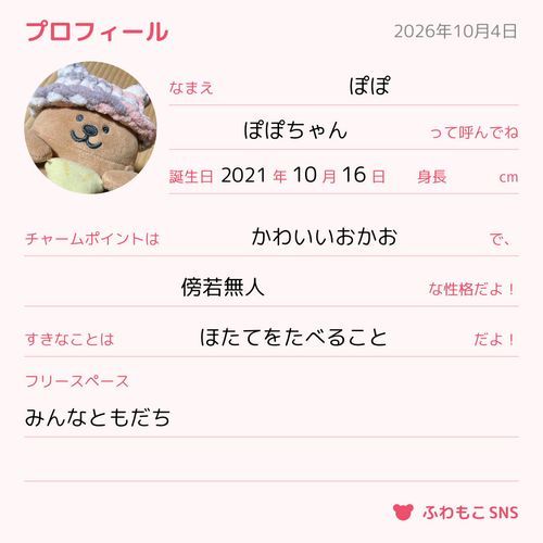 中国生まれメルカリ育ちUFOキャッチャーの中のやつだいたいともだち