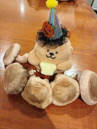 し〜たけ🍄