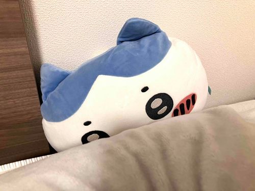 もちぬし
ねぞう
わるい