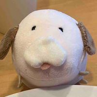 ふわんまる