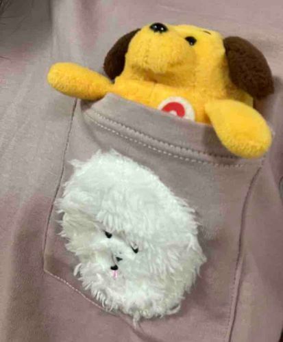 ワン～🐶‼️