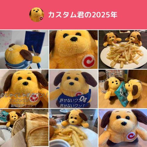 2025まとめたワン！
来年もよろしくお願いしますワンね！🐶