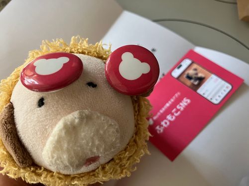 ふわんまる日記 2026-08-25

ふわもこsnsの缶バッジが当たりましたワン！
カイヌシとお揃いで使える缶バッジワン～！嬉しいワン🐶