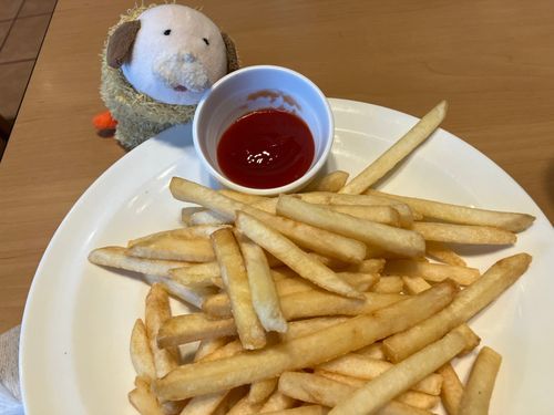 ふわんまる日記 2026/08/28