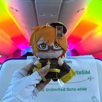 カケぬい