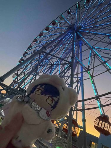 あけましておめでとうございます！
観覧車乗りに来ましたよぉ🎡
