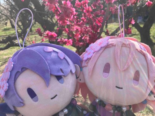 「くもさん　きごですよ！」
「きれいな　うめのはな　だね」