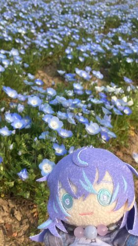「ねもふぃら　の　おすそわけ　です」