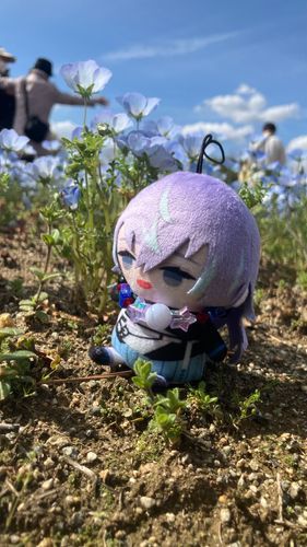 「ﾈﾓﾌｨﾗｻﾝﾓ　ｵﾚﾓ　ｵﾅｼﾞｸﾗｲ　ｶﾜｲｲ　ﾃﾞｽﾖﾈ?」
