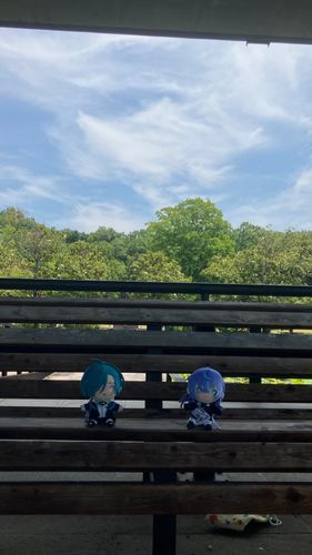 もう　すっかり　なつだね。