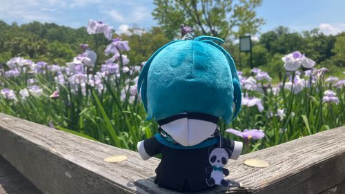 はなしょうぶ！